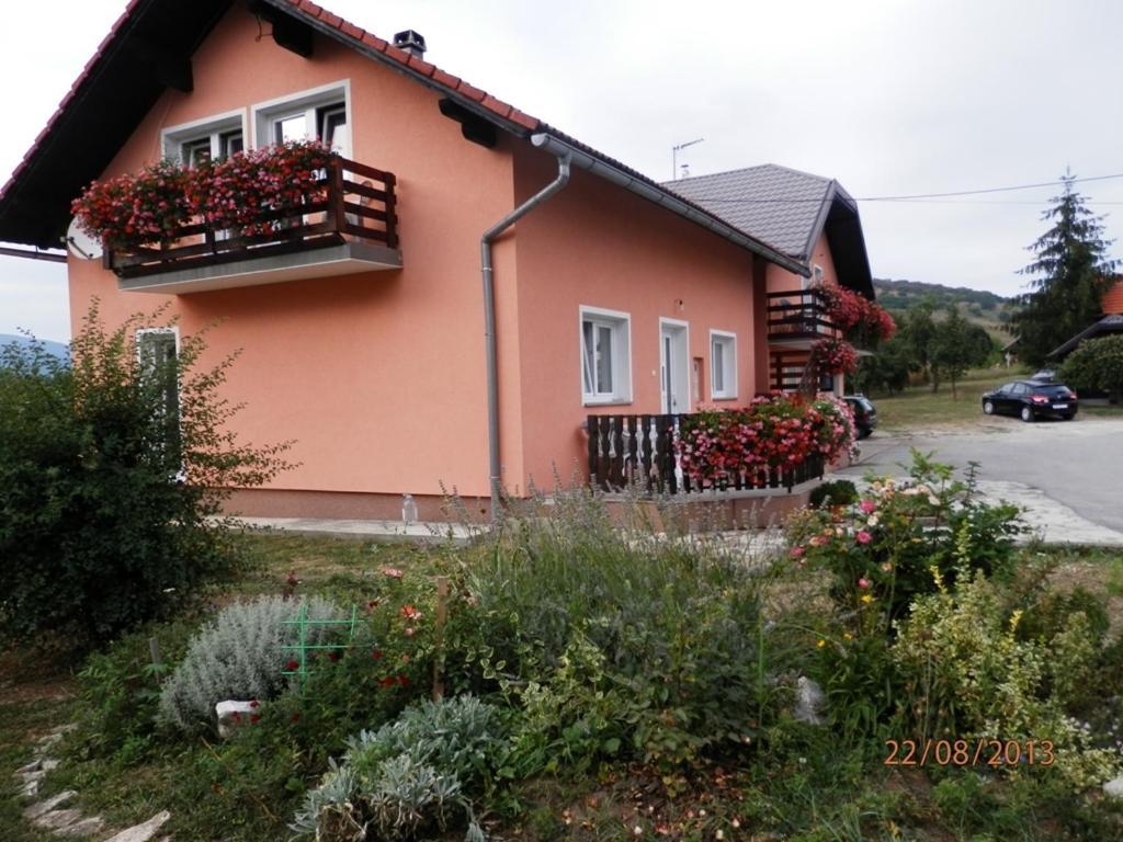 Guesthouse Blazenka Hodak Seliste Dreznicko Værelse billede