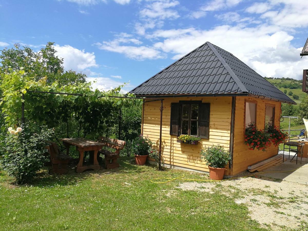 Guesthouse Blazenka Hodak Seliste Dreznicko Eksteriør billede